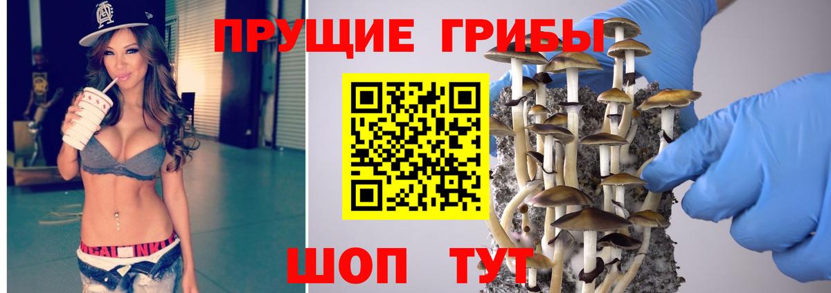 Галлюциногенные грибы Psilocybine cubensis Борисоглебск